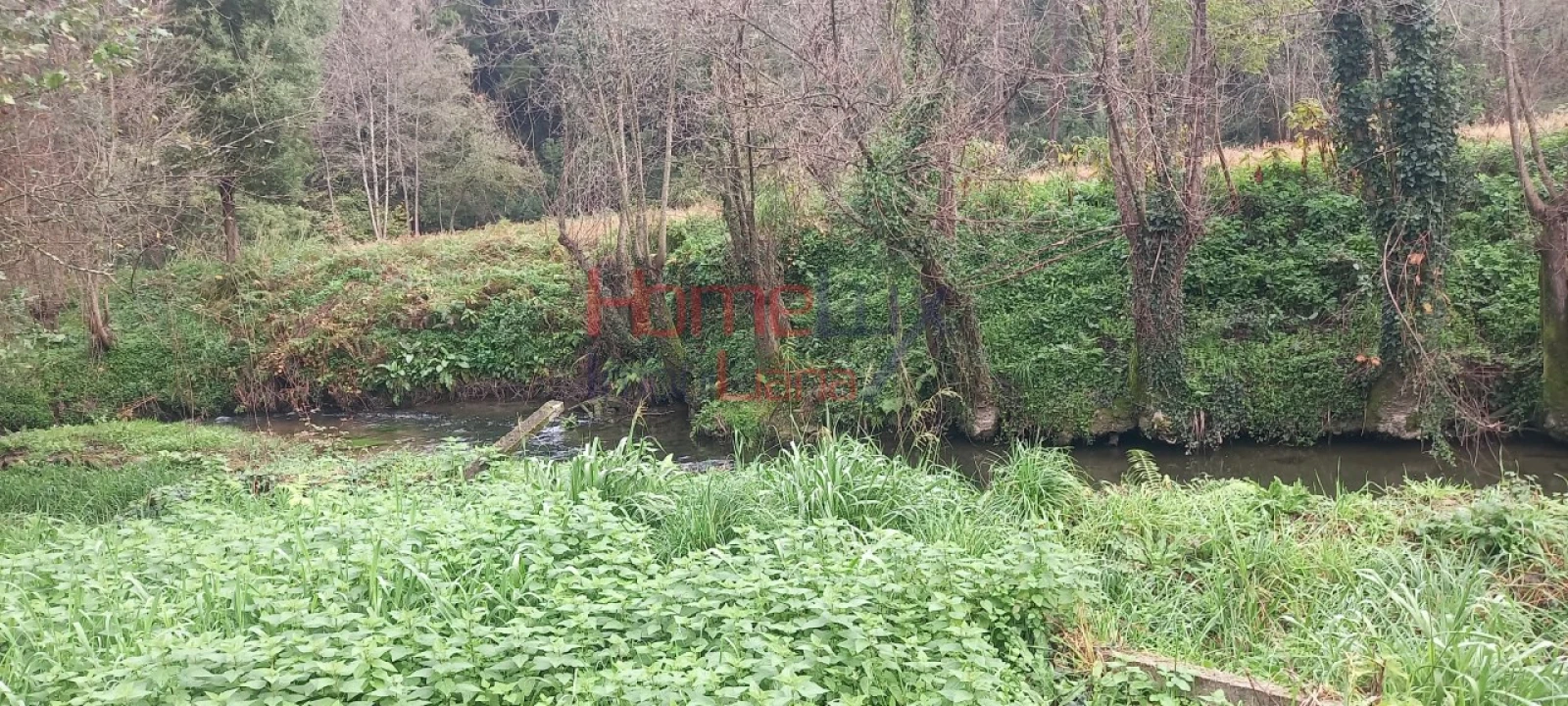 Quinta T2 para Venda em O. Azeméis, Riba-Ul, Ul, Macinhata Seixa, Madail Foto 14