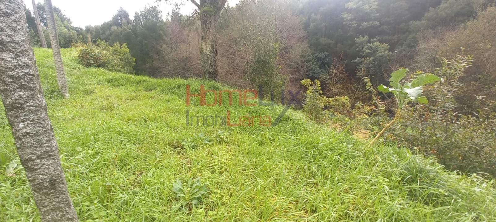 Quinta T2 para Venda em O. Azeméis, Riba-Ul, Ul, Macinhata Seixa, Madail Foto 21