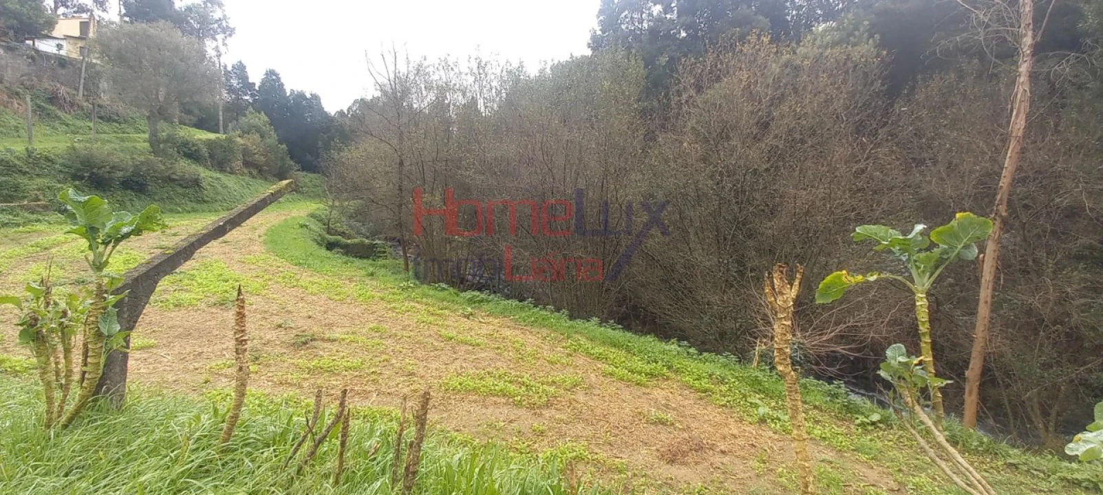 Quinta T2 para Venda em O. Azeméis, Riba-Ul, Ul, Macinhata Seixa, Madail Foto 26