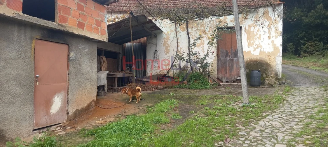 Quinta T2 para Venda em O. Azeméis, Riba-Ul, Ul, Macinhata Seixa, Madail Foto 5