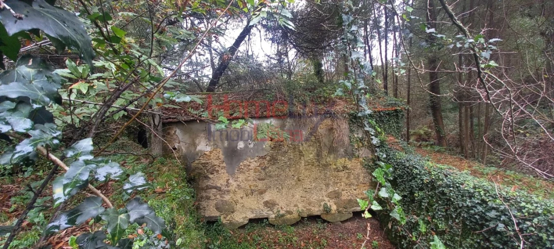 Quinta T2 para Venda em O. Azeméis, Riba-Ul, Ul, Macinhata Seixa, Madail Foto 9
