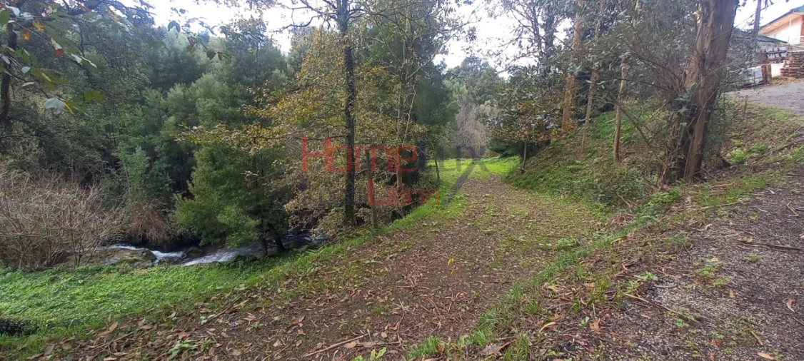 Quinta T2 para Venda em O. Azeméis, Riba-Ul, Ul, Macinhata Seixa, Madail Foto 15