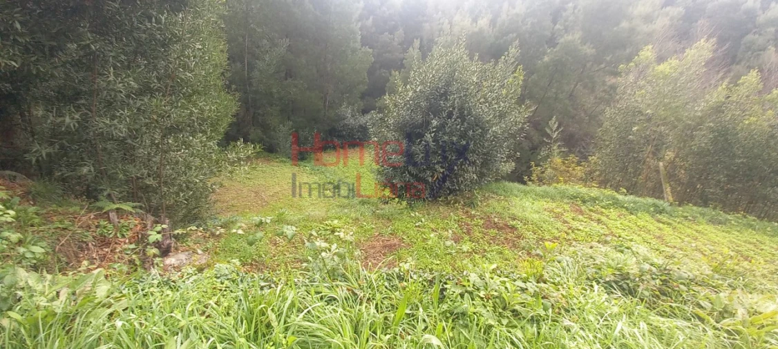 Quinta T2 para Venda em O. Azeméis, Riba-Ul, Ul, Macinhata Seixa, Madail Foto 16