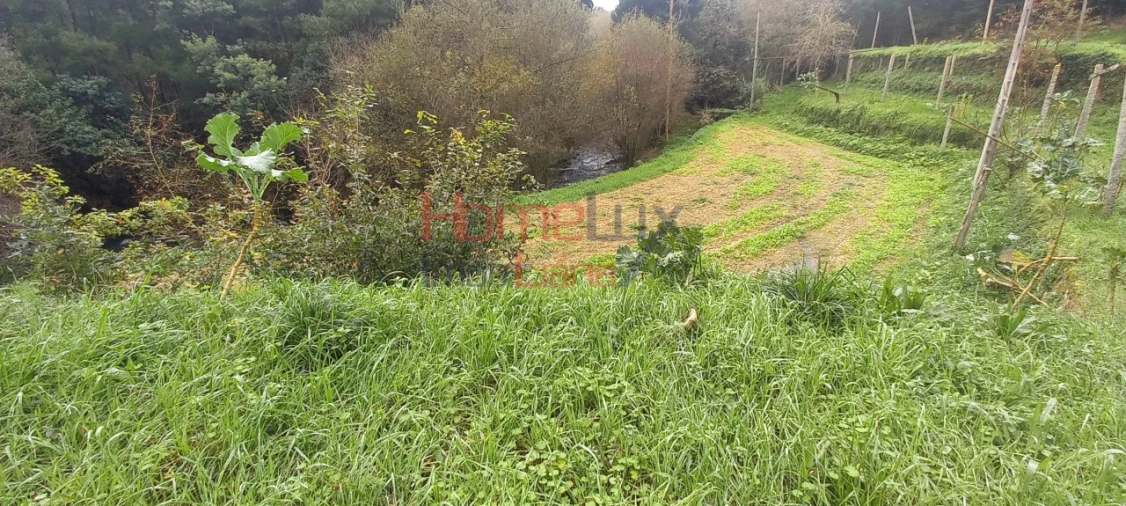 Quinta T2 para Venda em O. Azeméis, Riba-Ul, Ul, Macinhata Seixa, Madail Foto 20