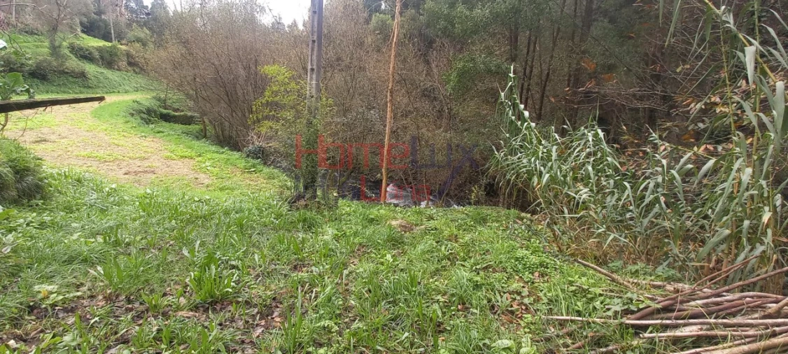 Quinta T2 para Venda em O. Azeméis, Riba-Ul, Ul, Macinhata Seixa, Madail Foto 25