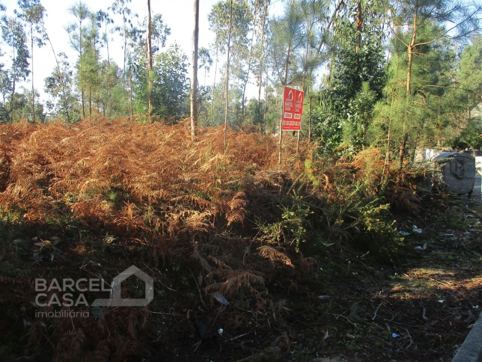 Terreno para Venda em Remelhe Foto 3