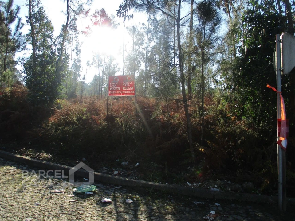Terreno para Venda em Remelhe Foto 4