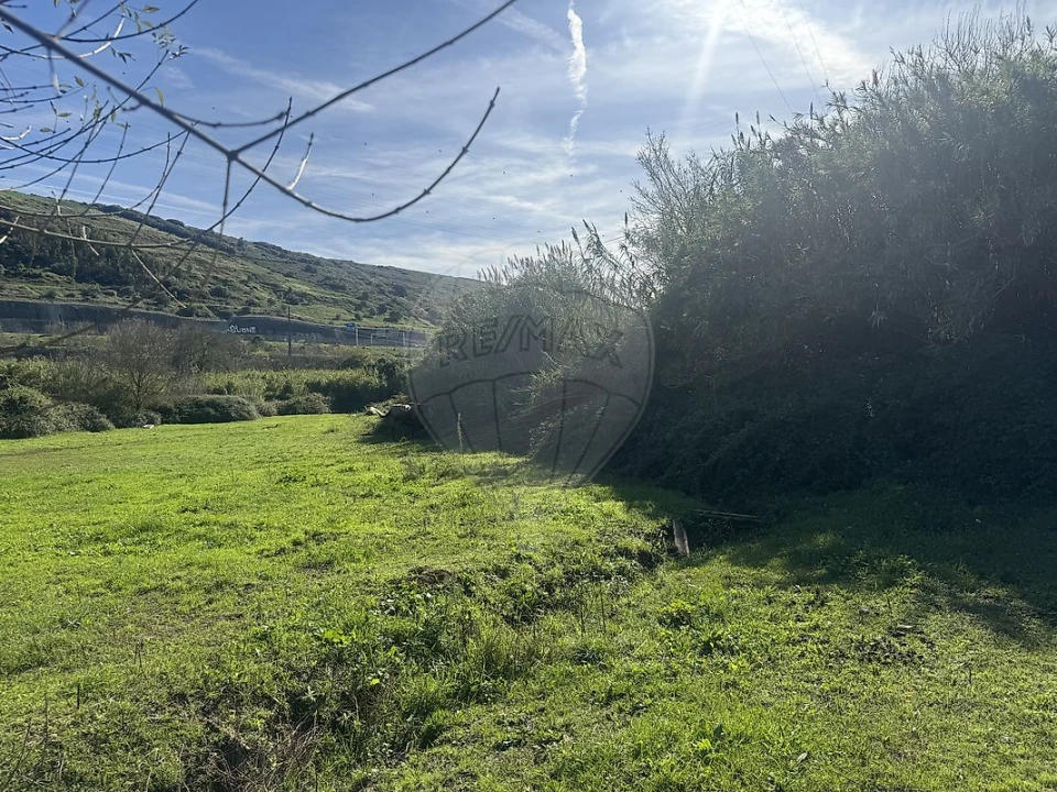 Terreno para Arrendamento em Queluz e Belas Foto 2