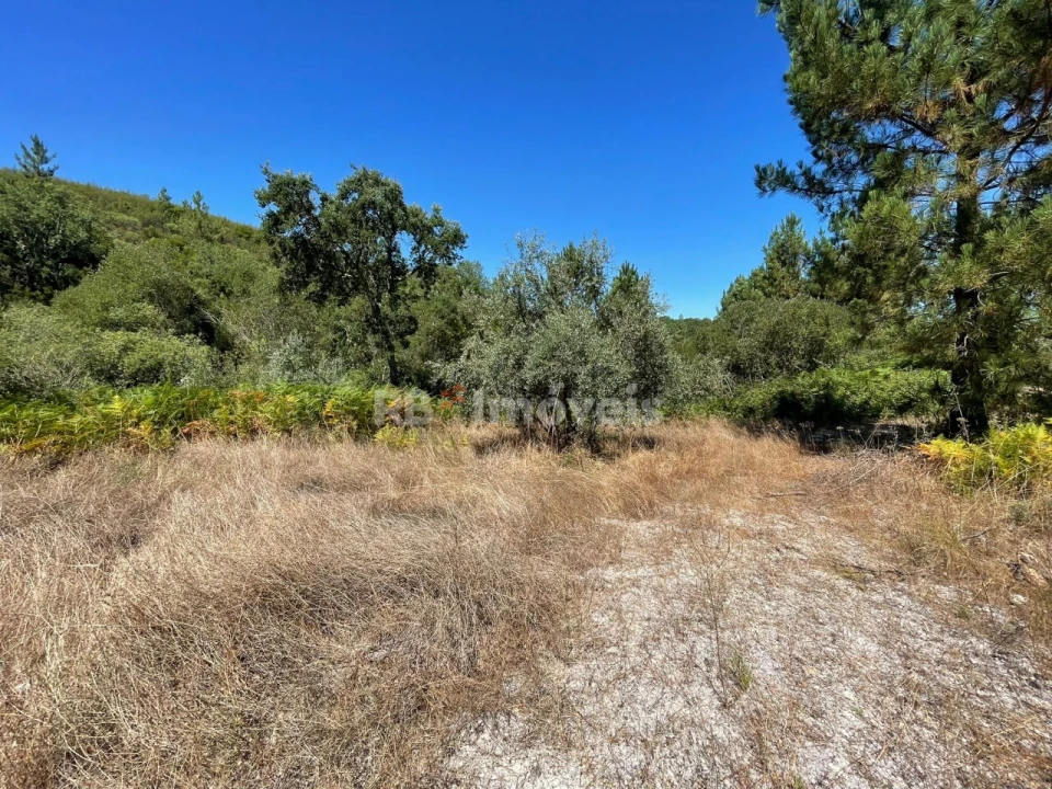 Terreno Agricola ou Rústico para Venda em Gavião e Atalaia Foto 2