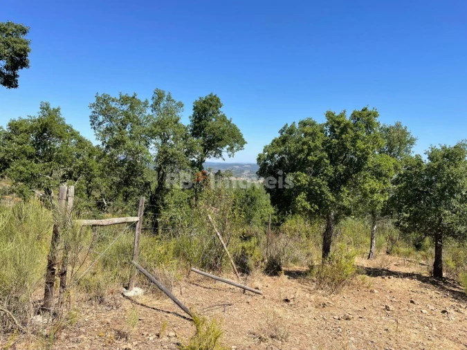 Terreno Agricola ou Rústico para Venda em Gavião e Atalaia Foto 1