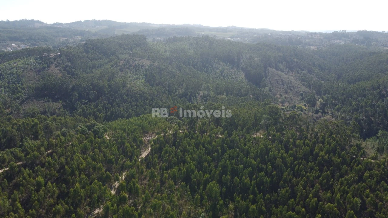 Terreno Agricola ou Rústico para Venda em Serra e Junceira Foto 6