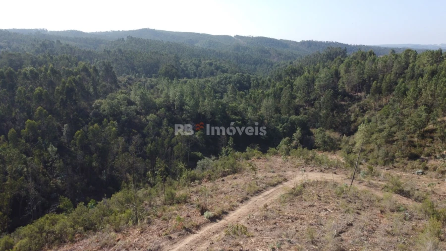 Terreno Agricola ou Rústico para Venda em Serra e Junceira Foto 9
