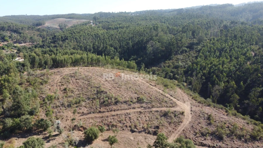 Terreno Agricola ou Rústico para Venda em Serra e Junceira Foto 3