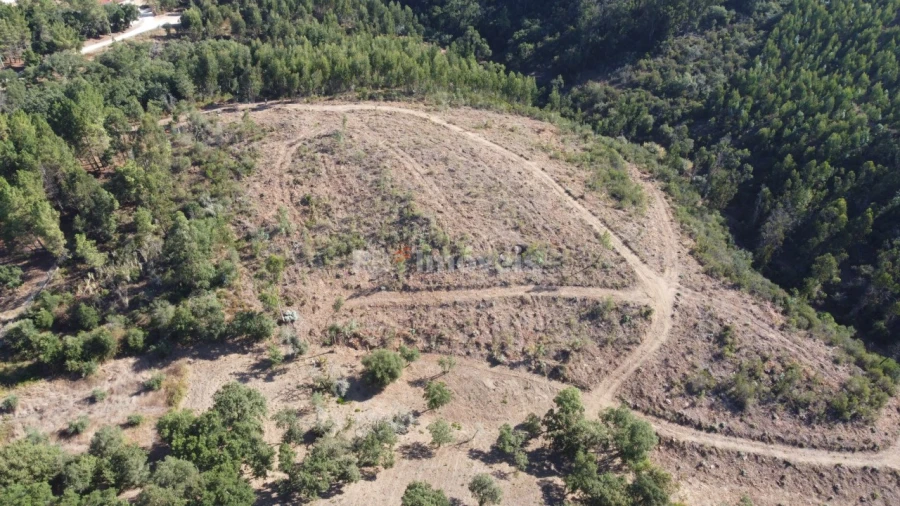 Terreno Agricola ou Rústico para Venda em Serra e Junceira Foto 2