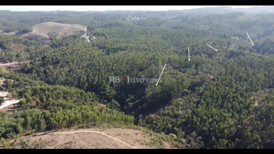 Terreno Agricola ou Rústico para Venda em Serra e Junceira