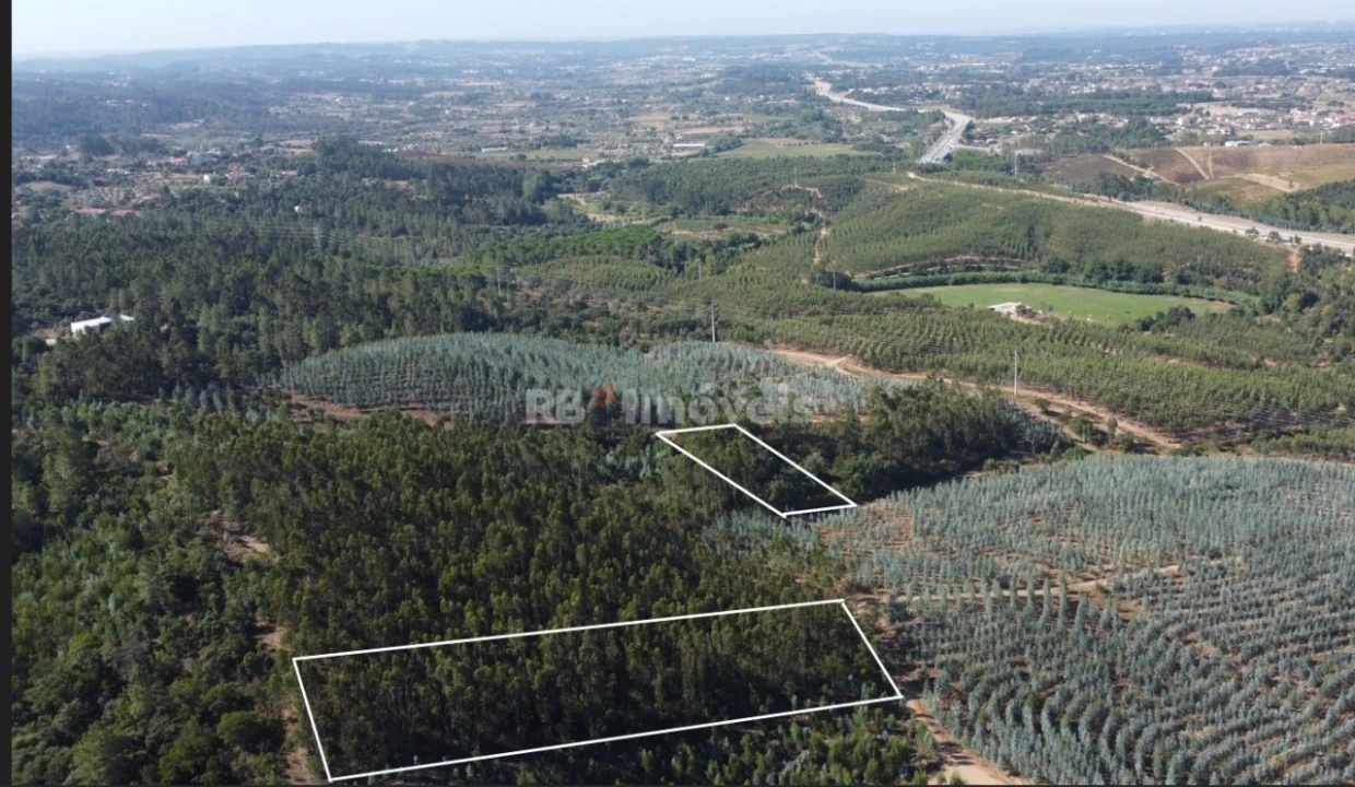 Terreno Agricola ou Rústico para Venda em Serra e Junceira Foto 2