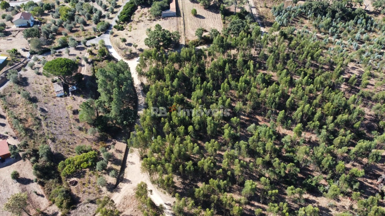 Terreno Agricola ou Rústico para Venda em Serra e Junceira Foto 4