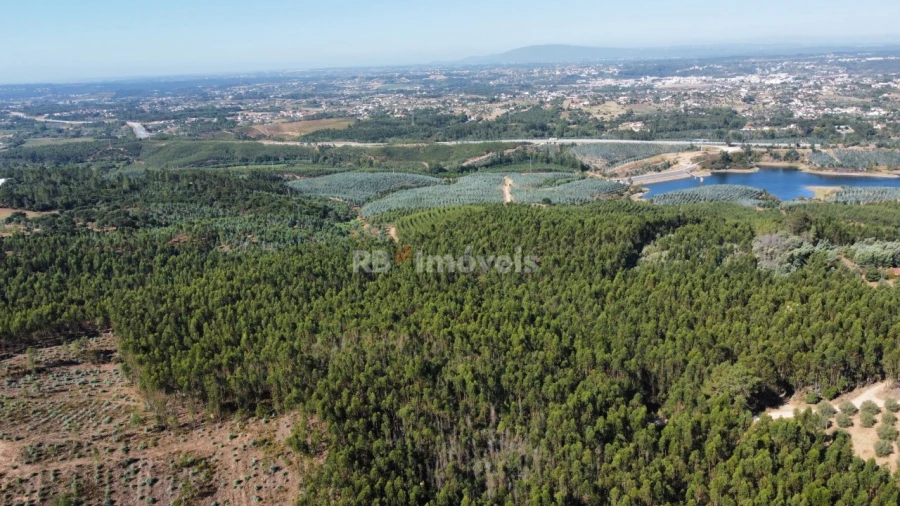 Terreno Agricola ou Rústico para Venda em Serra e Junceira Foto 1