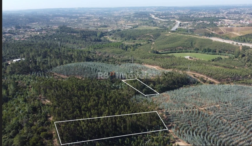 Terreno Agricola ou Rústico para Venda em Serra e Junceira Foto 2