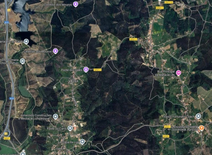 Terreno Agricola ou Rústico para Venda em Serra e Junceira Planta 1