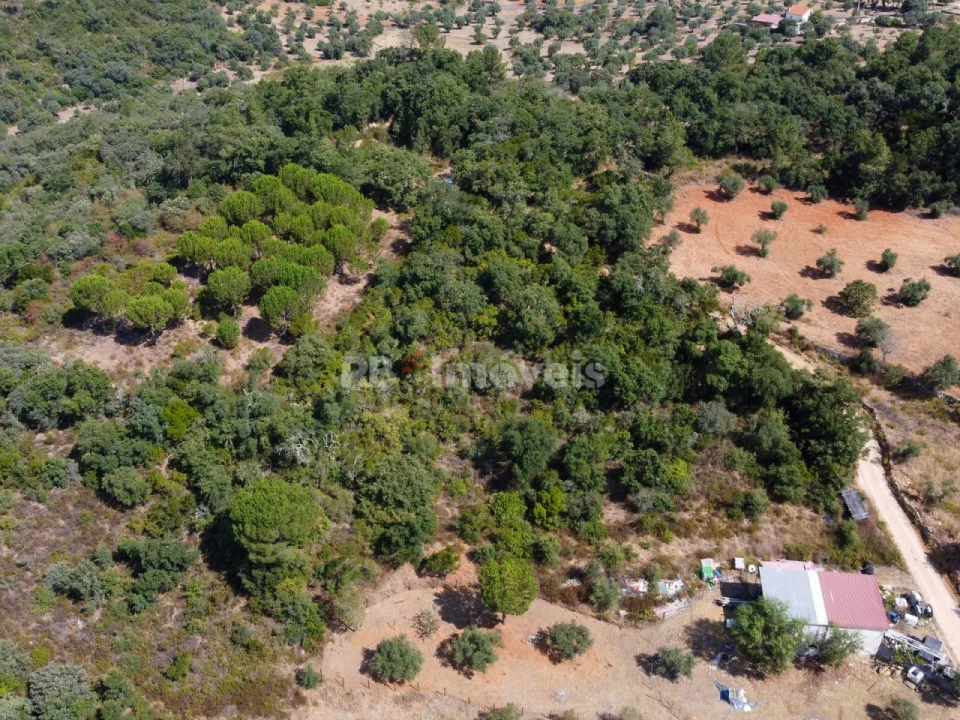 Terreno para Venda em Além da Ribeira e Pedreira Foto 5