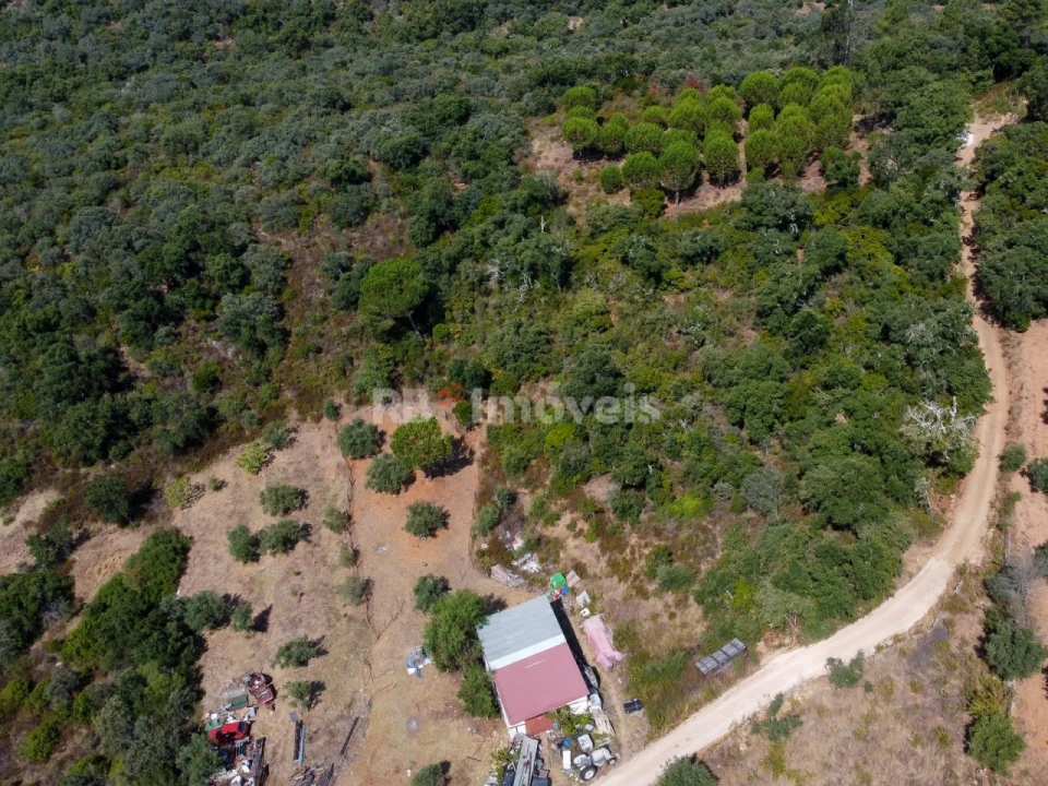 Terreno para Venda em Além da Ribeira e Pedreira Foto 4