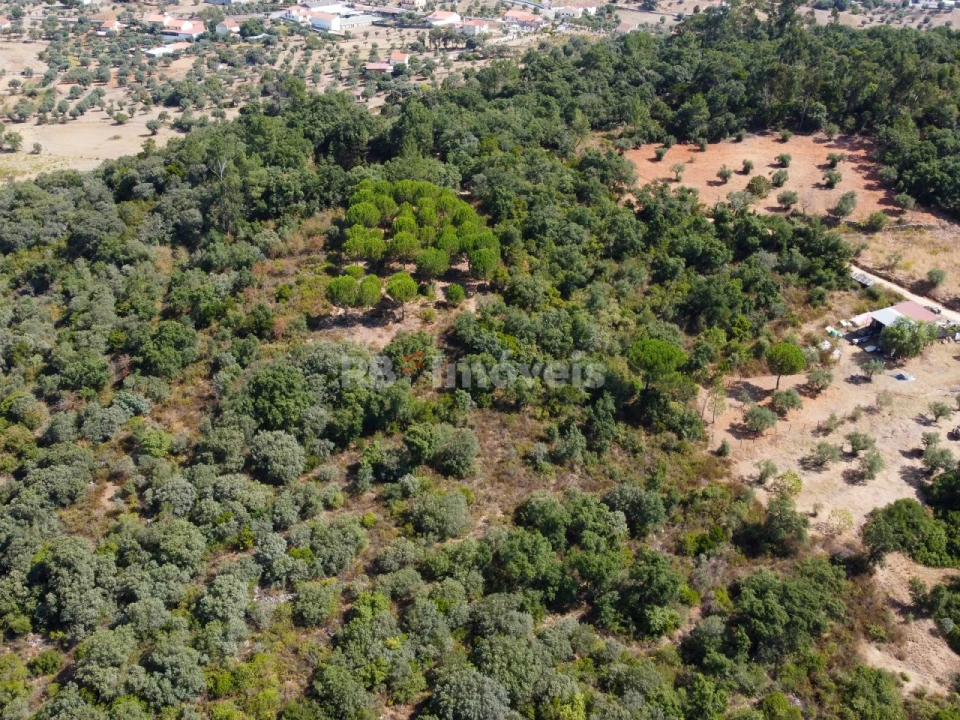 Terreno para Venda em Além da Ribeira e Pedreira Foto 7