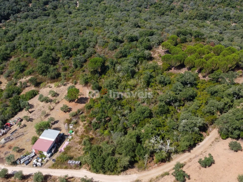 Terreno para Venda em Além da Ribeira e Pedreira Foto 6