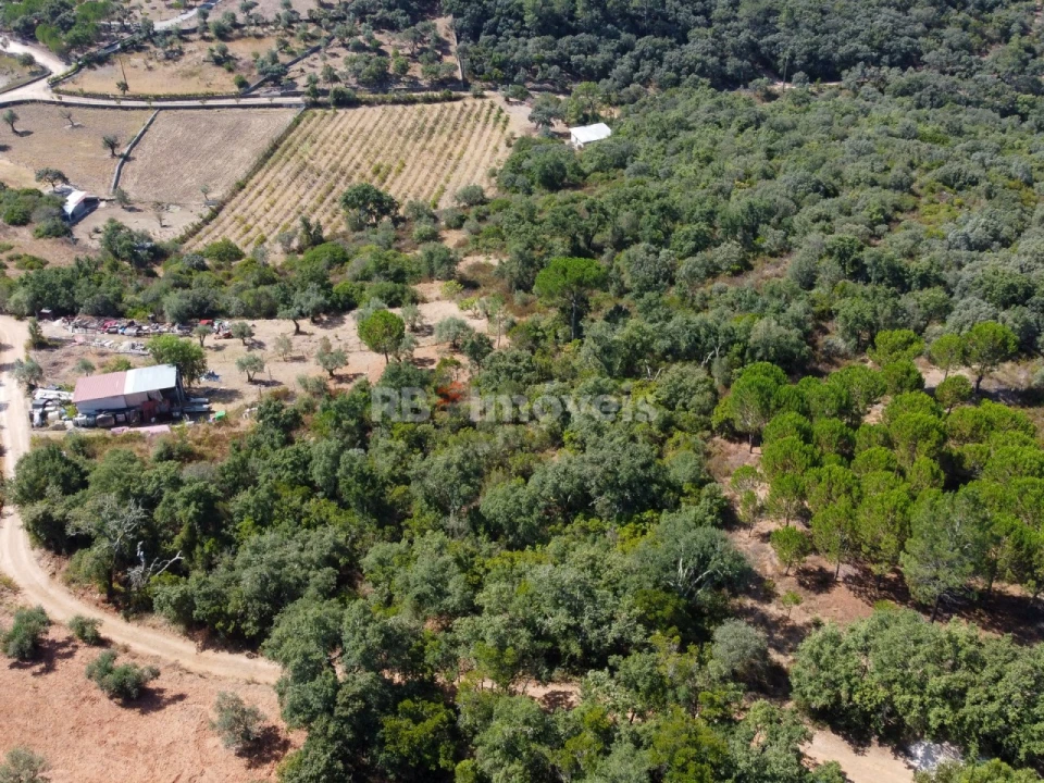 Terreno para Venda em Além da Ribeira e Pedreira Foto 1