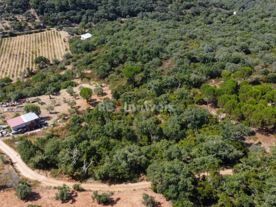 Terreno para Venda em Além da Ribeira e Pedreira Foto 8