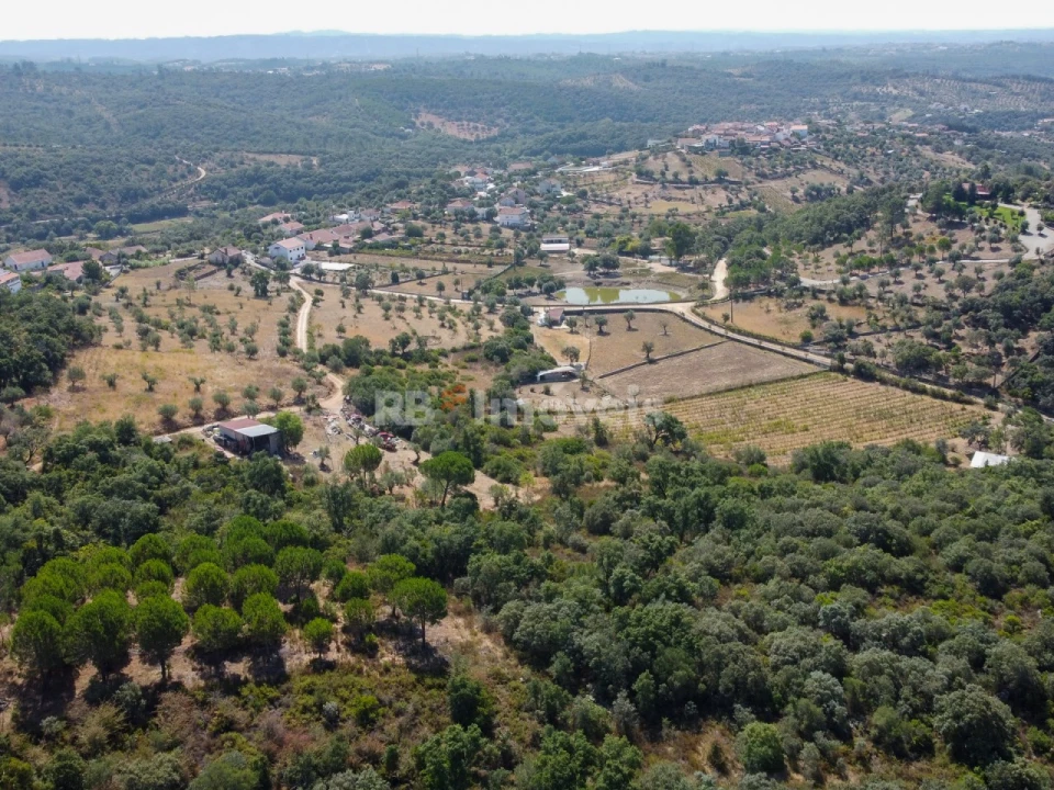 Terreno para Venda em Além da Ribeira e Pedreira Foto 11