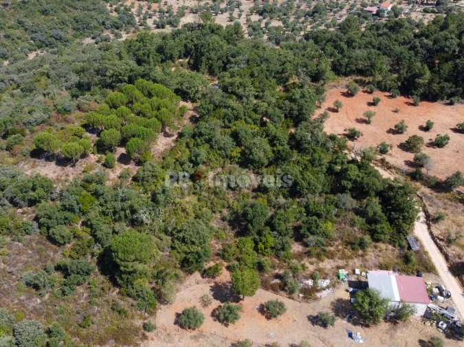 Terreno para Venda em Além da Ribeira e Pedreira Foto 5