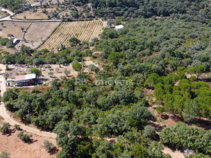 Terreno para Venda em Além da Ribeira e Pedreira
