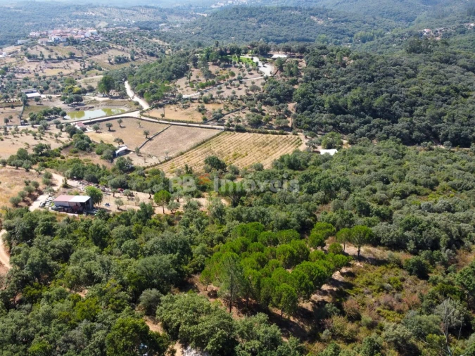 Terreno para Venda em Além da Ribeira e Pedreira Foto 3