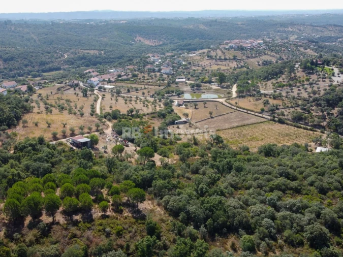Terreno para Venda em Além da Ribeira e Pedreira Foto 11