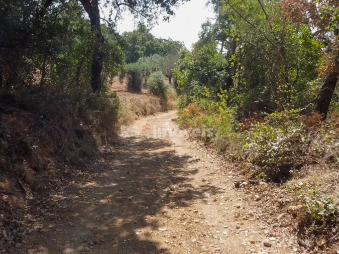 Terreno para Venda em Além da Ribeira e Pedreira Foto 12