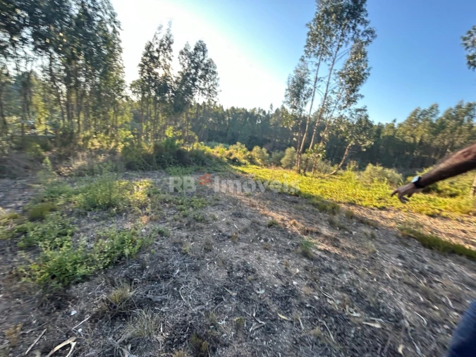 Terreno Agricola ou Rústico para Venda em Sabacheira Foto 8