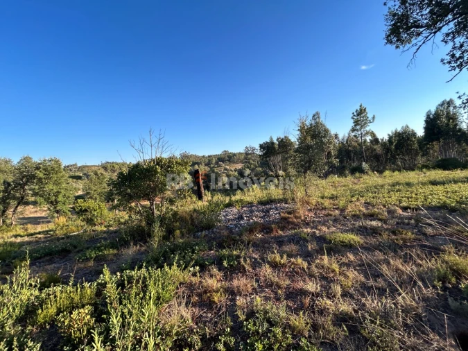 Terreno Agricola ou Rústico para Venda em Sabacheira Foto 4