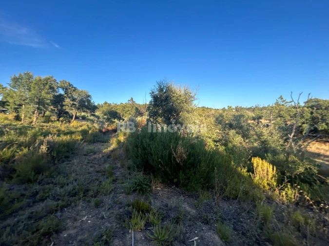 Terreno Agricola ou Rústico para Venda em Sabacheira Foto 7