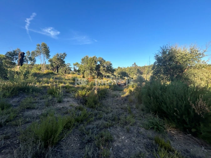 Terreno Agricola ou Rústico para Venda em Sabacheira Foto 3