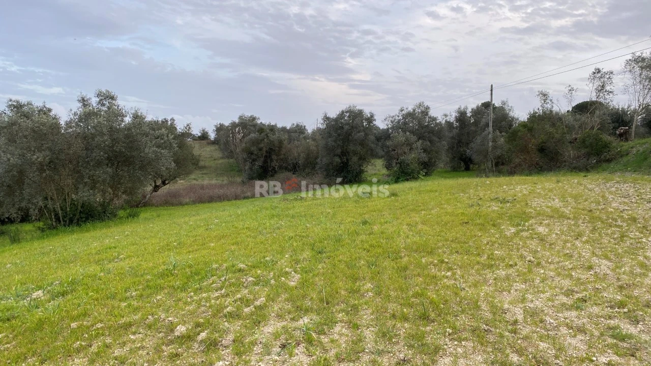 Terreno Agricola ou Rústico para Venda em Assentiz Foto 1