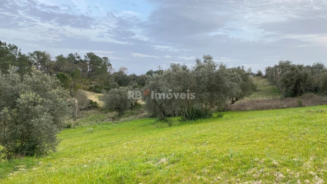 Terreno Agricola ou Rústico para Venda em Assentiz Foto 11