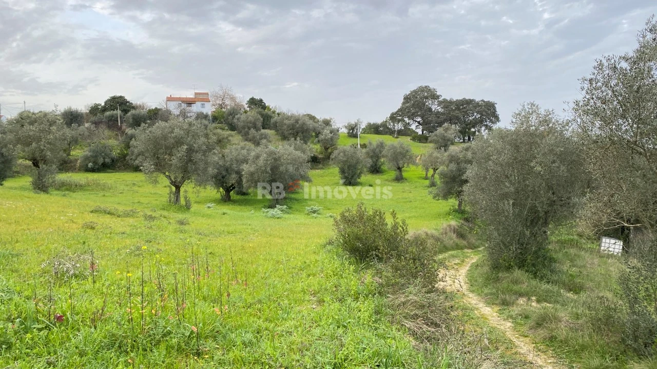 Terreno Agricola ou Rústico para Venda em Assentiz Foto 17