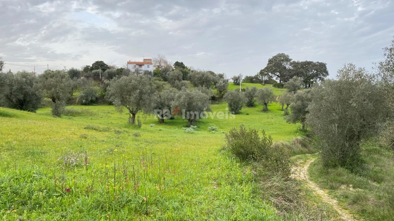 Terreno Agricola ou Rústico para Venda em Assentiz Foto 18