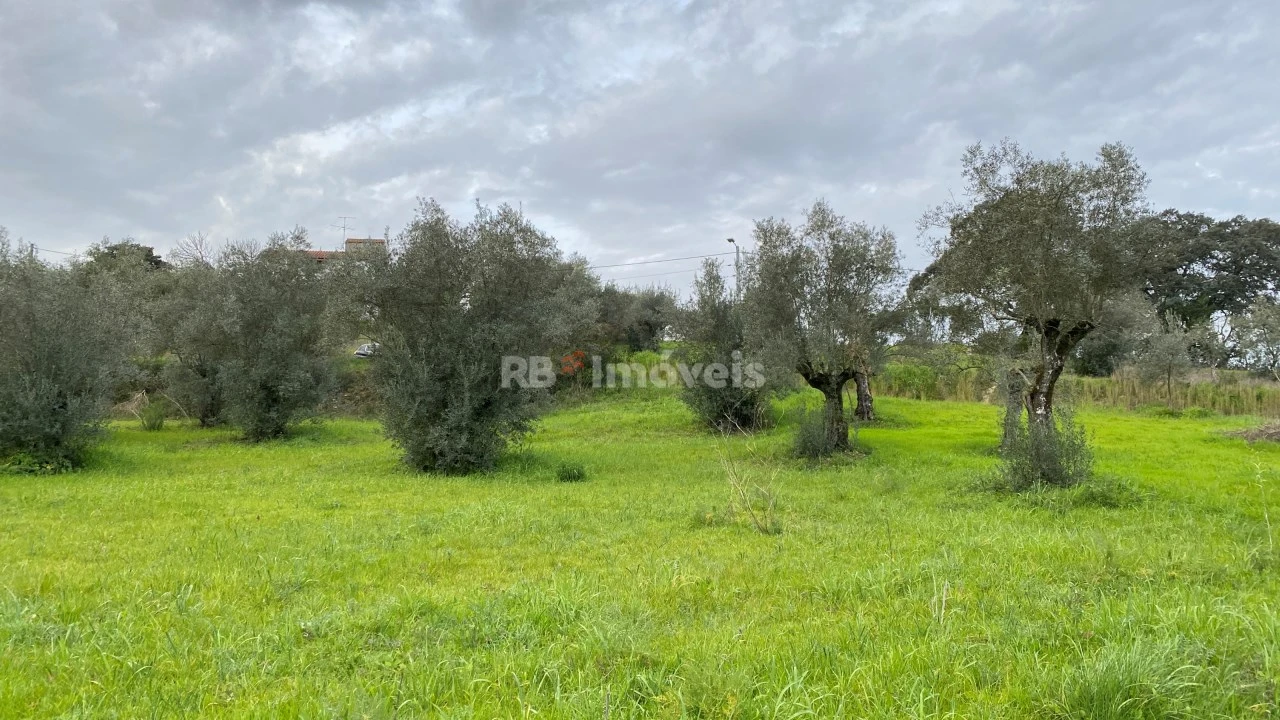 Terreno Agricola ou Rústico para Venda em Assentiz Foto 20