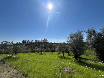 Terreno Agricola ou Rústico para Venda em Assentiz