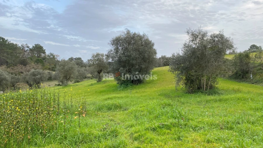Terreno Agricola ou Rústico para Venda em Assentiz Foto 10