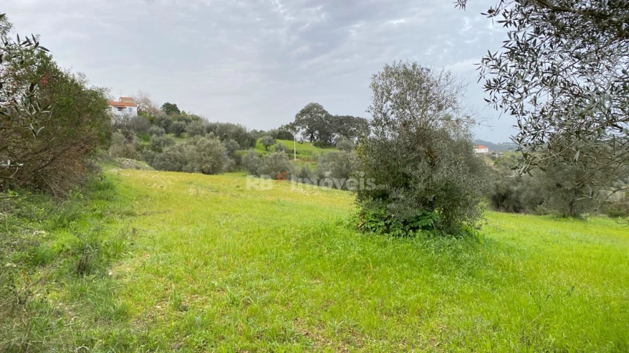 Terreno Agricola ou Rústico para Venda em Assentiz Foto 15
