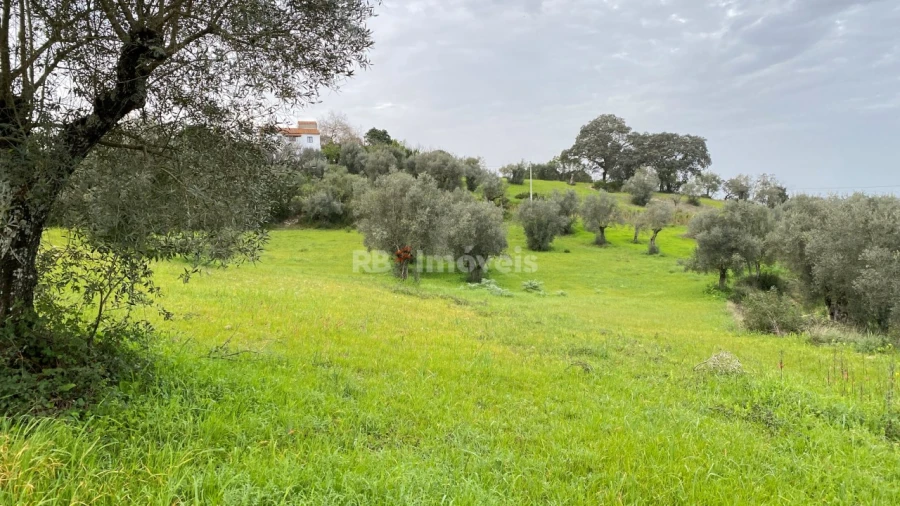 Terreno Agricola ou Rústico para Venda em Assentiz Foto 3