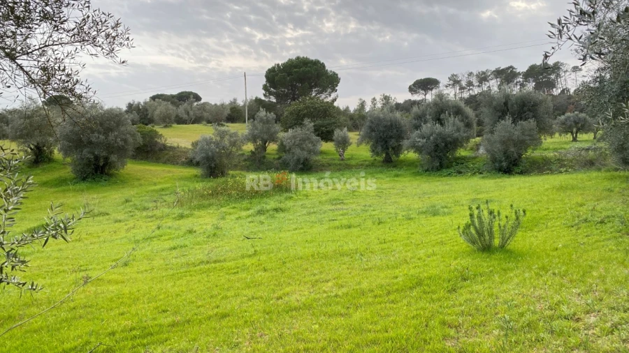 Terreno Agricola ou Rústico para Venda em Assentiz